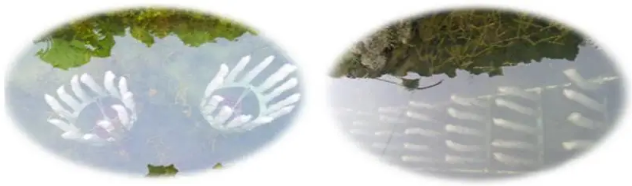 水生態(tài)系統