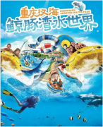 <b>【戴思樂(lè)浮潛案例賞析】讓國(guó)人在浮潛體驗(yàn)館中暢享深海之旅！</b>